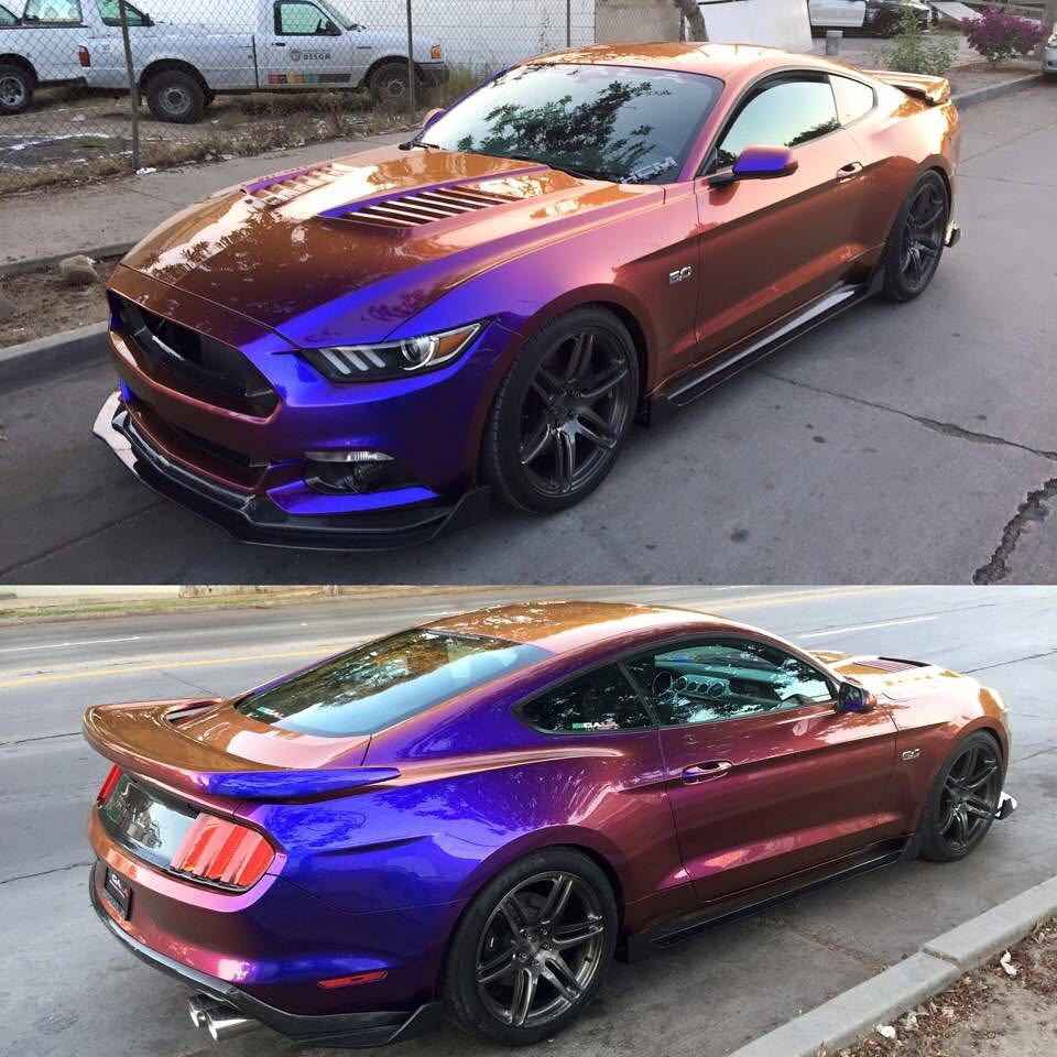 musclefords:  @igfords #ford#Mustang#SVT tag-&gt; #american_muscle_mustangs /