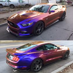 musclefords:  @igfords #ford#Mustang#SVT tag-&gt; #american_muscle_mustangs / this has to be the first mystic S550 / work by #sigaladesigns / looks 😍😍