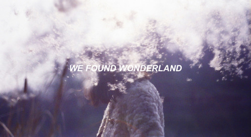 taiylorswift:wonderland // taylor swift