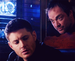 lucasnorthandsouth:  8x20 / 9x17 