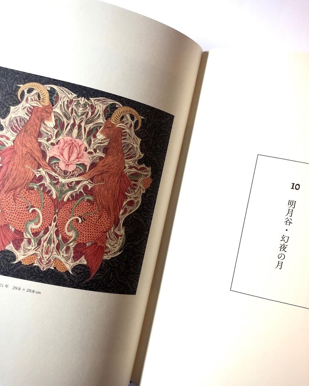 JP BookTakato Yamamoto In the Garden with the Goat Hardcover Artworks