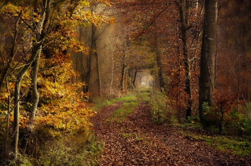 english-idylls:   	Cumbria, England by Joe  Stockdale  