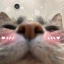 verifiedsadgirl
