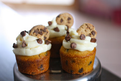 ilovedessert:  Chocolate Chip Cookie Dough Cupcakes (by thejduce) 