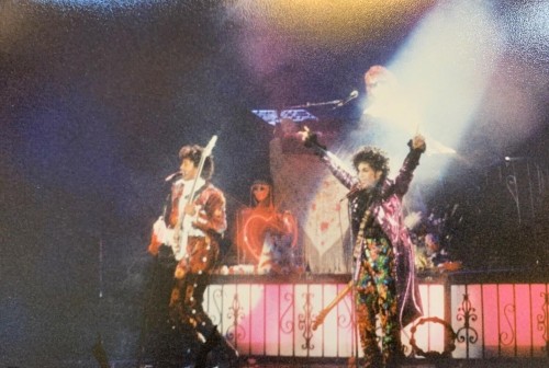 Prince and the Revolution