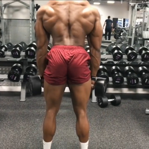 themaleasshall:  Simeon Panda