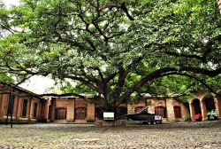 lauramoscardophotography:  Hacienda Herradura.