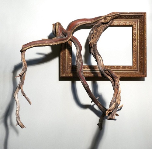 sibilia: mymodernmet: Salvaged Tree Branches Seamlessly Emerge from Antique Picture Frames @mrozna l