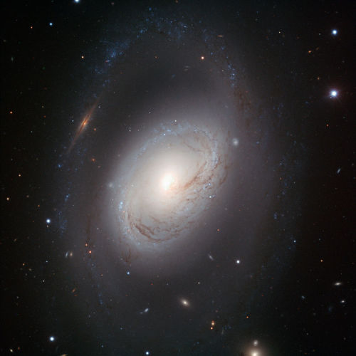 zespaceblog:  NGC 3368 - M96M96 is about the same size as our Milky Way, 31 Million light years from us in the constellation of Leo, and categorised as a double barred spiral galaxy.As it’s almost face on to us, not only can we see the amazing detail