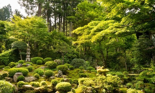 Rolling stones: moss-covered ground and sculptural forms at the Sanzenin Temple in Ohara, north of K