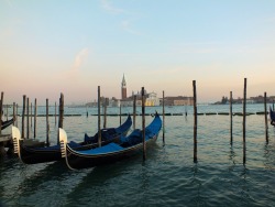 step-out-into:Venice’s Grand Canal - Follow for more like this!