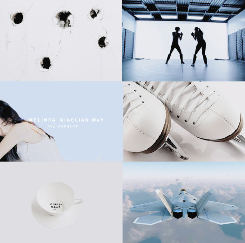 2/15 Favourite Ships: Phillip J. Coulson & Melinda Qiaolian May