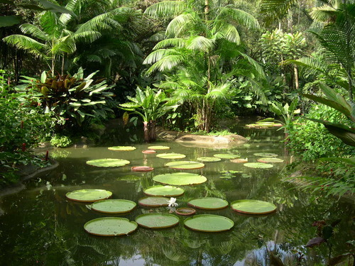 divinetropics: ॐ Followingback all blogs in the next hour ॐ