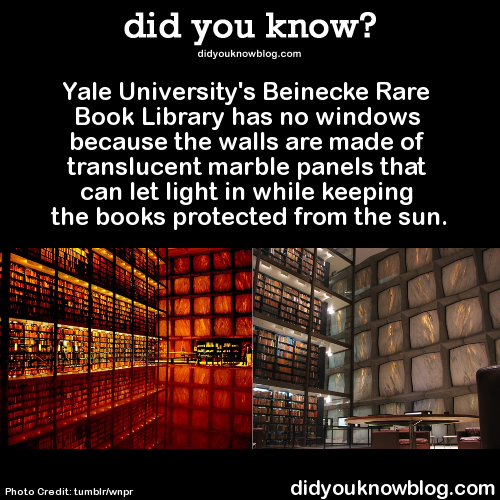 did-you-kno:  Yale University’s Beinecke Rare Book Library has no windows because