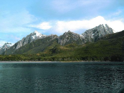 letargos:  Isla de los Estados, Argentina.