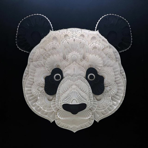 thedesigndome: Elaborate Paper Sculptures of Endangered Animals Patrick Cabral, an artist based in P