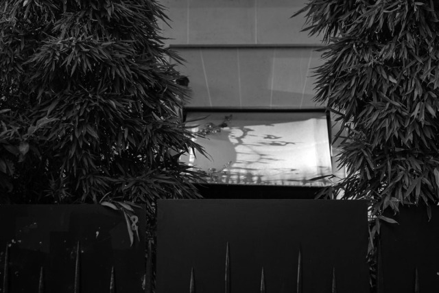 Paris 16e
By Rurik Dmitrienko #Paris #black and white photography  #photographer on tumblr #original photographers #original photography on tumblr #French photography#French photographer#Contemporary Photography#rurik dmitrienko#rurik#b&w