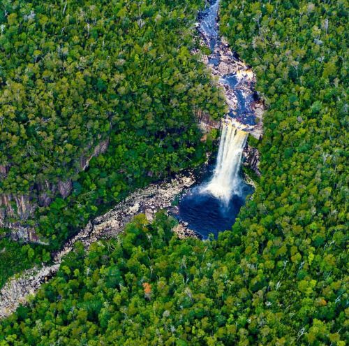 oceaniatropics:Vanishing Falls, Salisbury River, Tasmania