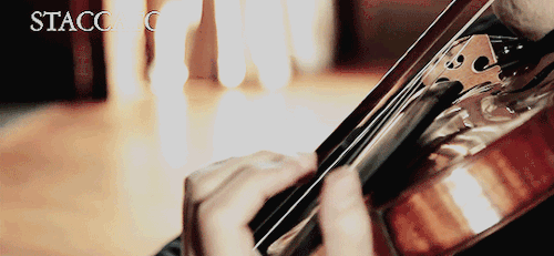 pianoviolinstudy:DÉTACHÉ —smooth separate bow strokes for each noteCOLLÉ —short sharp pinch, lift bo