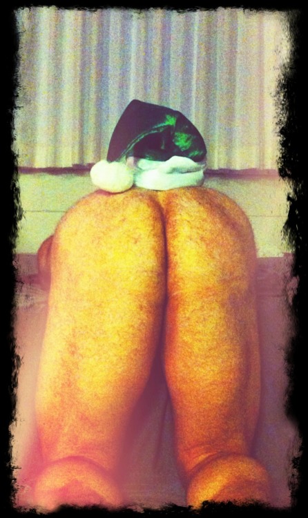 innerbear:  MERRY CHRISTMAS!!!  Sorry I’ve been pretty quiet lately, here’s a pic of my butt in a Santa hat to make up for it. 