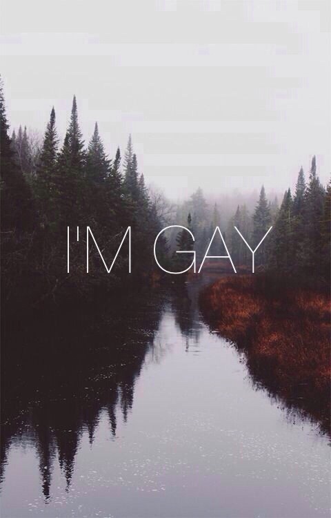 sunsextings:  This post is very important to me. Basically, the picture says it all.