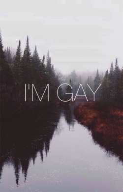 sunsextings:  This post is very important to me. Basically, the picture says it all. I’m gay. I know I am only attracted to girls, I’m not confused, I’m not going through a phase. In eighth-grade, I came out as bisexual. I had known that I liked