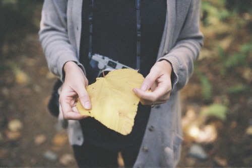 kelly, contax & leaf