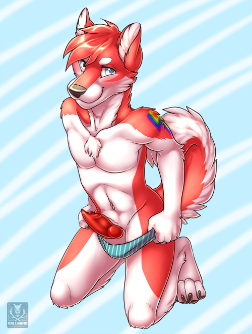 awolthefox:  Solo males by Vallhund♥ For more by this great artist, go to:http://www.furaffinity.net/user/vallhund/ 