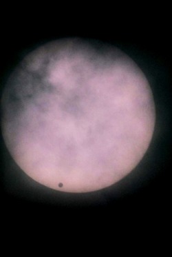 Pleoros:  Wolfgang Tillmans - Venus Transit, 2004. 