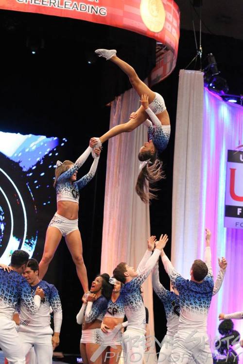 needleboyy: Cheer Athletics Cheetahs Pyramid @ Worlds 2014