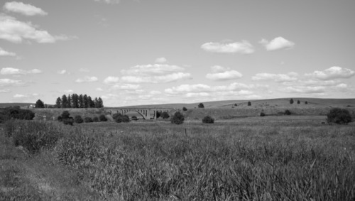 Palouse - Black & White #4Source: Diane Williams’s Photography