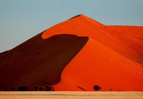 sonjabarbaric:Dune 45 in Namibia Desert