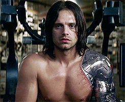 you the hell is bucky