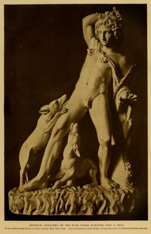nemfrog:  Actaeon attacked by his dogs when turning into a stag. The dog book. 1906.