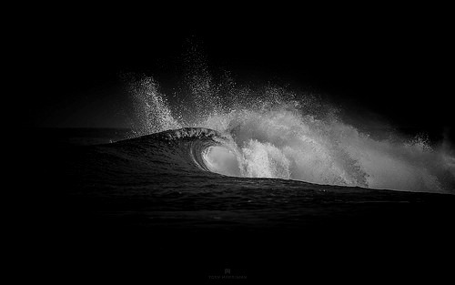 whitenes-s:    CYCLE  by   Toby Harriman  