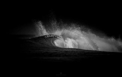 whitenes-s:    CYCLE  by   Toby Harriman