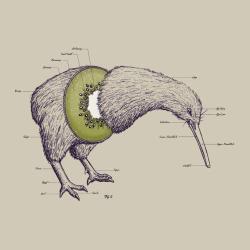 therainingkiwi:  10thcloctor:  you can’t even understand how many years i have waited for a picture like this you really can’t fucking understand  kiwis are always relevant on my blog. 