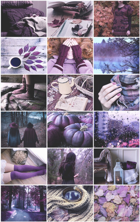 aestheticschaos:Purple/Autumn aesthetic