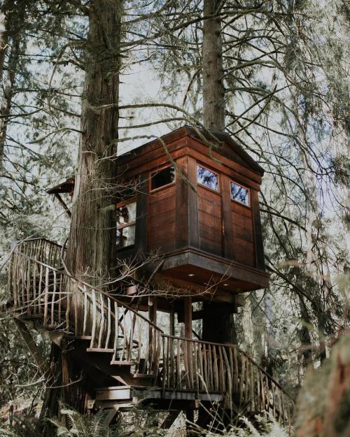 wild-cabins: Sameer Mahan Nice hideaway
