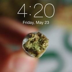 weedporndaily:  Happy 4:20 http://ift.tt/1tuKJVC