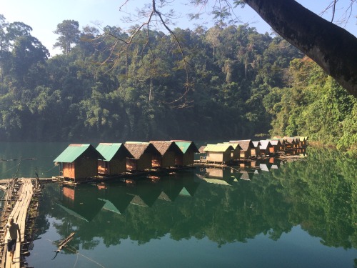 Khao Sok Stayed on some floating huts in Khao Sok, Thailand Literally amazing minus the cockroaches 