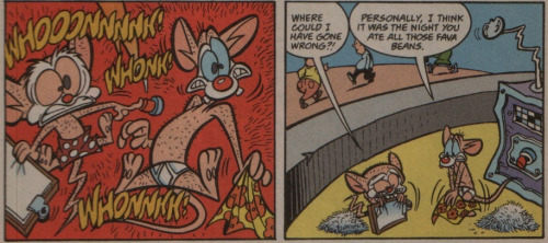 Taken from &ldquo;Animaniacs #56&rdquo; the comic.