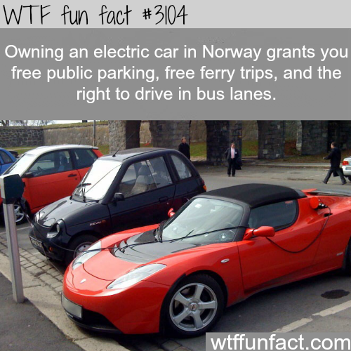 wtf-fun-factss:  Owning an electric car in Norway -  WTF fun facts  It&rsquo;s
