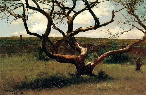 Tree (1884-85) by Dennis Miller Bunker (1861-1890). 