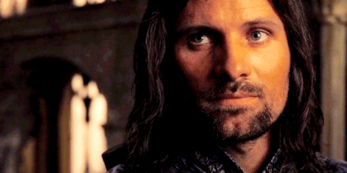 LORD OF THE RINGS: FELLOWSHIP OF THE RING