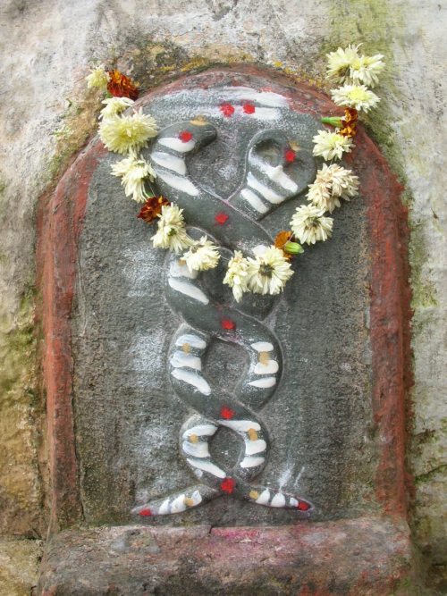 Nagakal or serpente stone, Karnataka