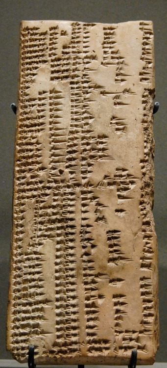 peashooter85: The first dictionary, Around 2,300 BC a group of Semitic people called the Akkadians i