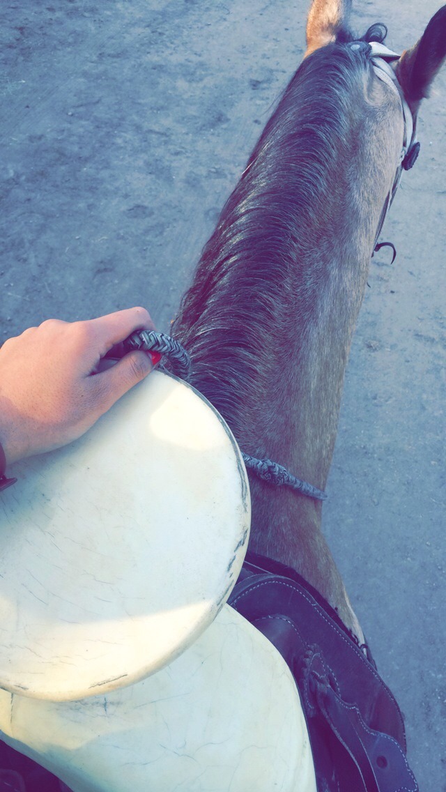 Went riding this weekend . 😼