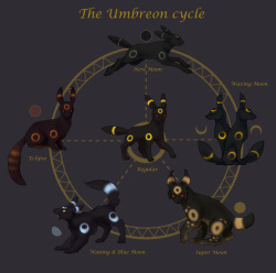 moonbard:  iekun:  The Umbreon cycle Eevee evolving into Umbreon must be in the night, but not every night have the same moon, every Umbreon is unique.  BTW, in the Pokemon game, I have trained four maybe five Umbreon and Jolteon for the battle.