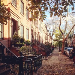 newyorkcityfeelings:Brooklyn Brownstones